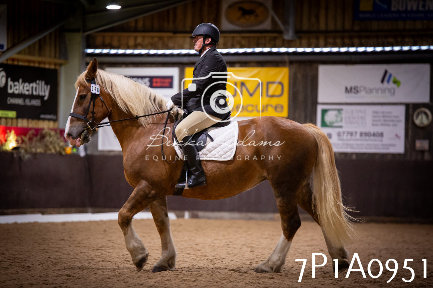 JHOYS 2025 - Dressage - 14th September pt1