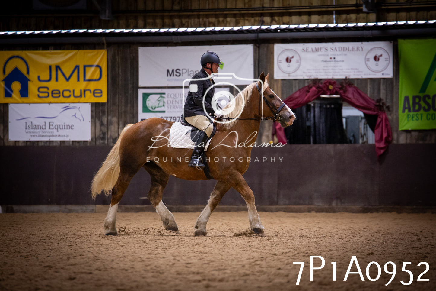 JHOYS 2025 - Dressage - 14th September pt1