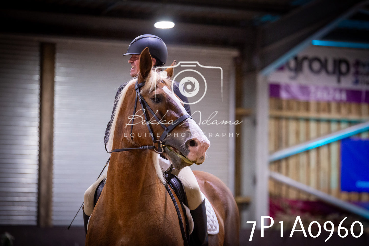 JHOYS 2025 - Dressage - 14th September pt1