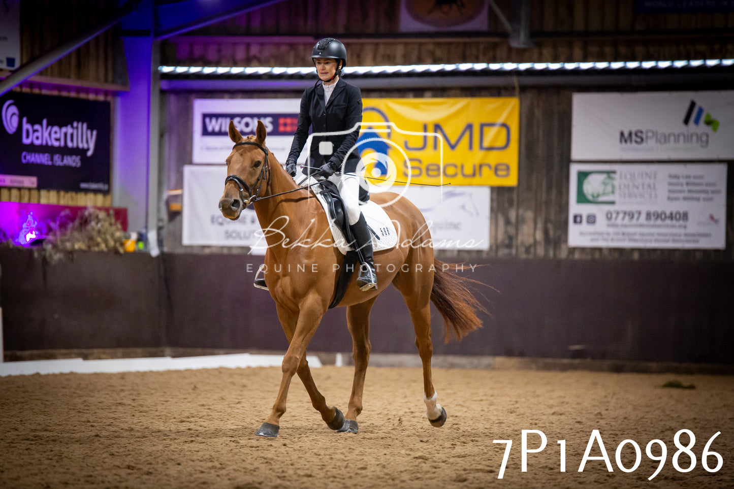 JHOYS 2025 - Dressage - 14th September pt1