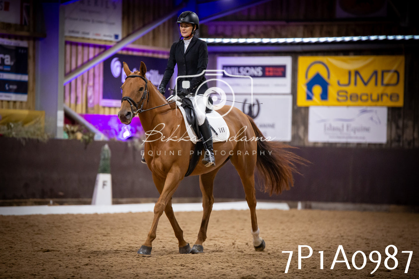 JHOYS 2025 - Dressage - 14th September pt1