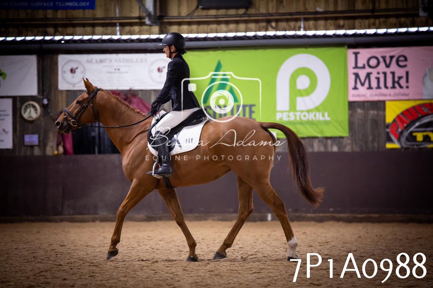 JHOYS 2025 - Dressage - 14th September pt1