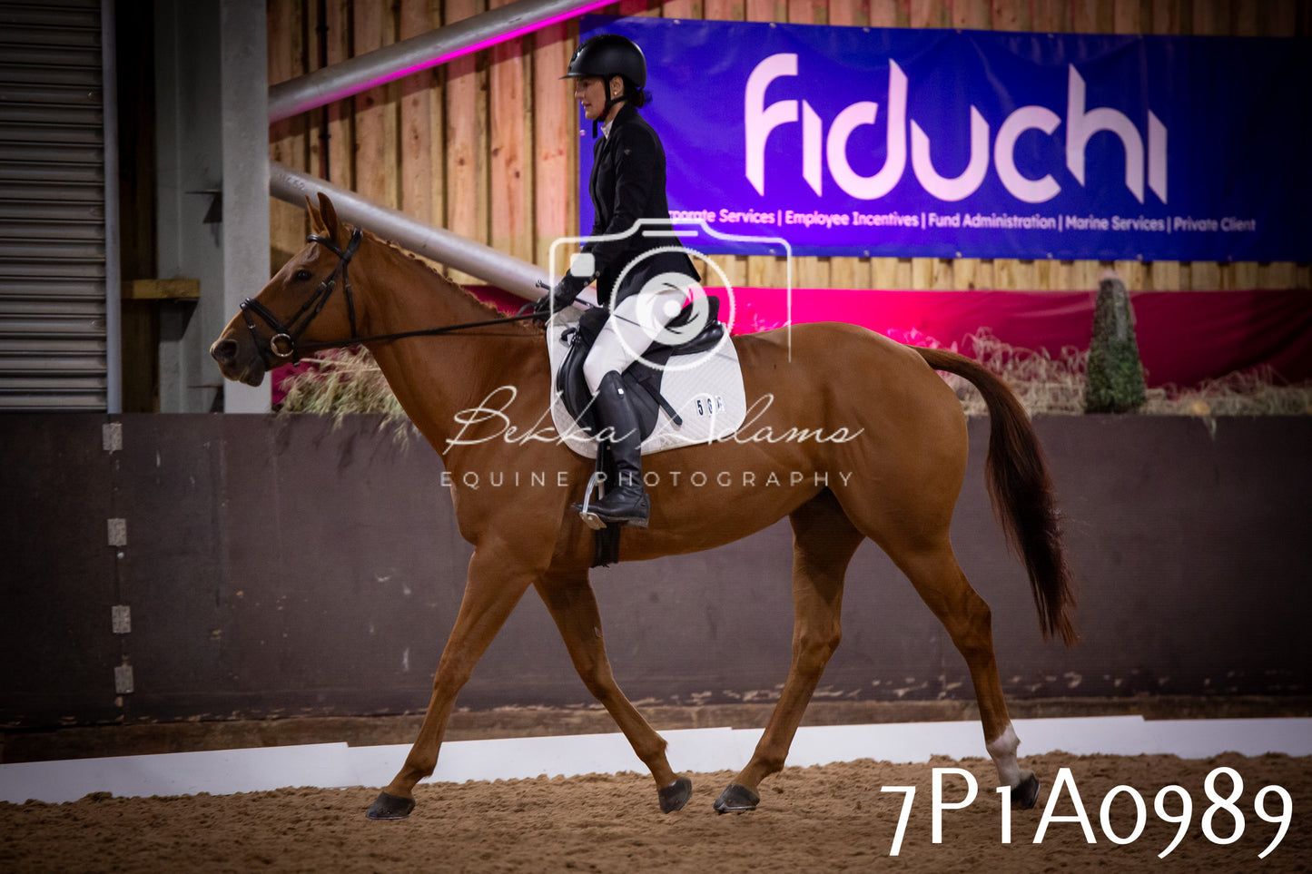 JHOYS 2025 - Dressage - 14th September pt1
