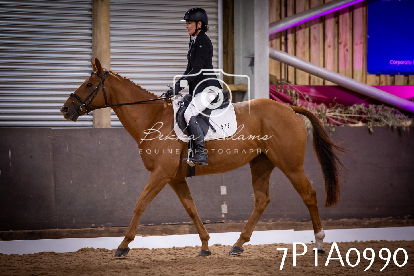 JHOYS 2025 - Dressage - 14th September pt1