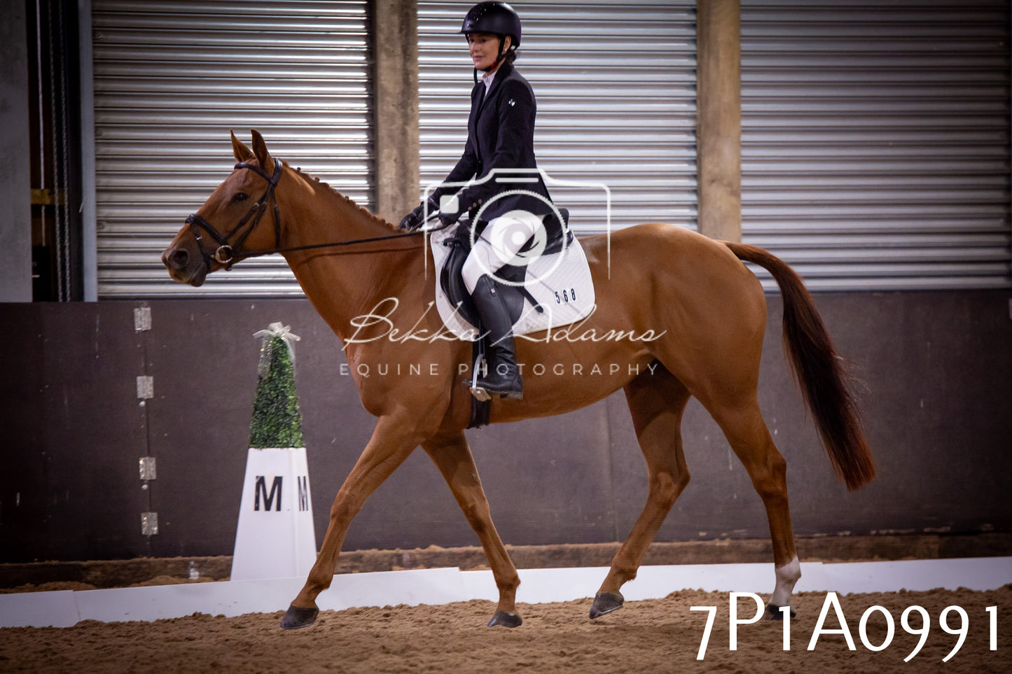 JHOYS 2025 - Dressage - 14th September pt1