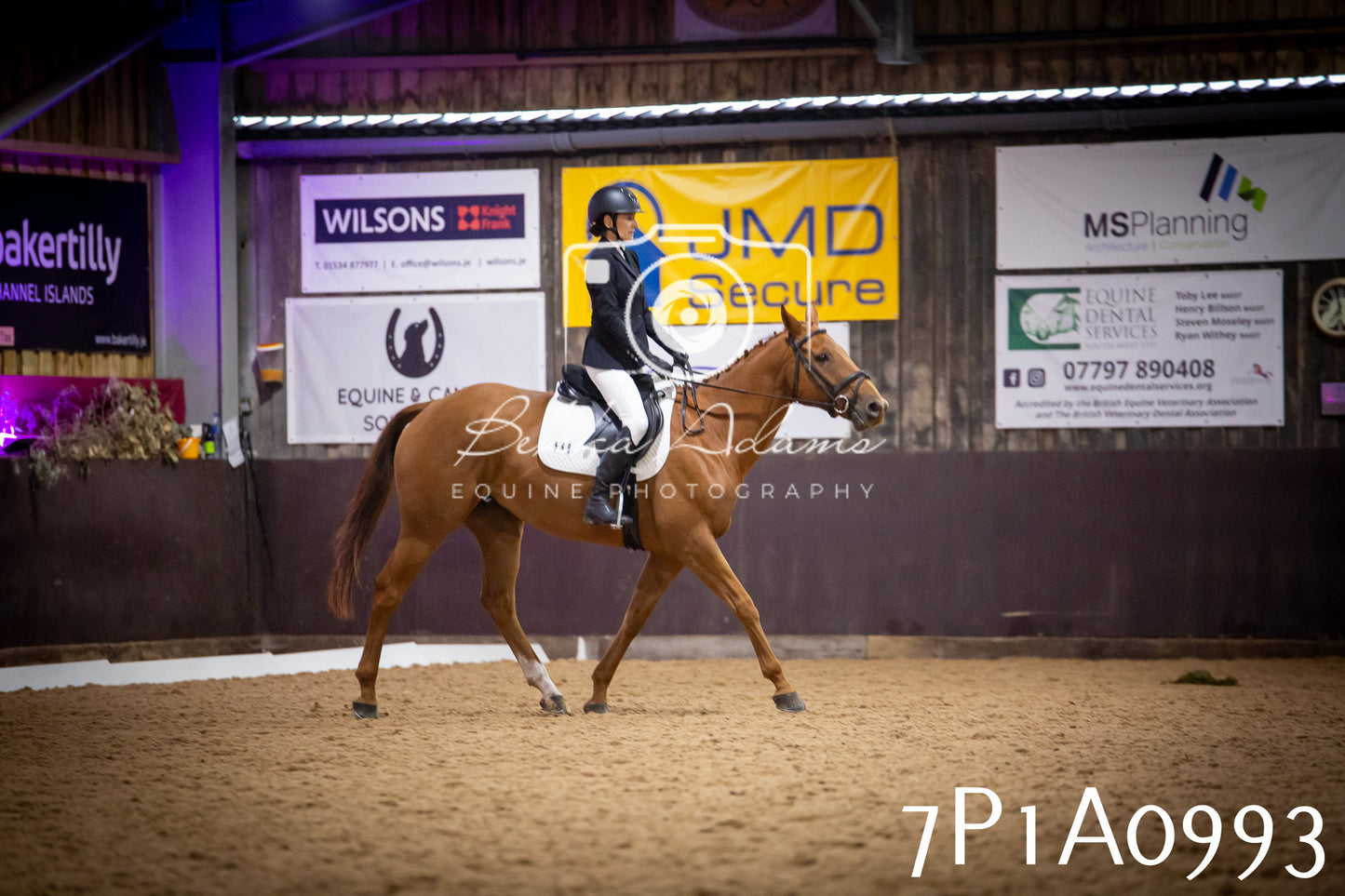 JHOYS 2025 - Dressage - 14th September pt1