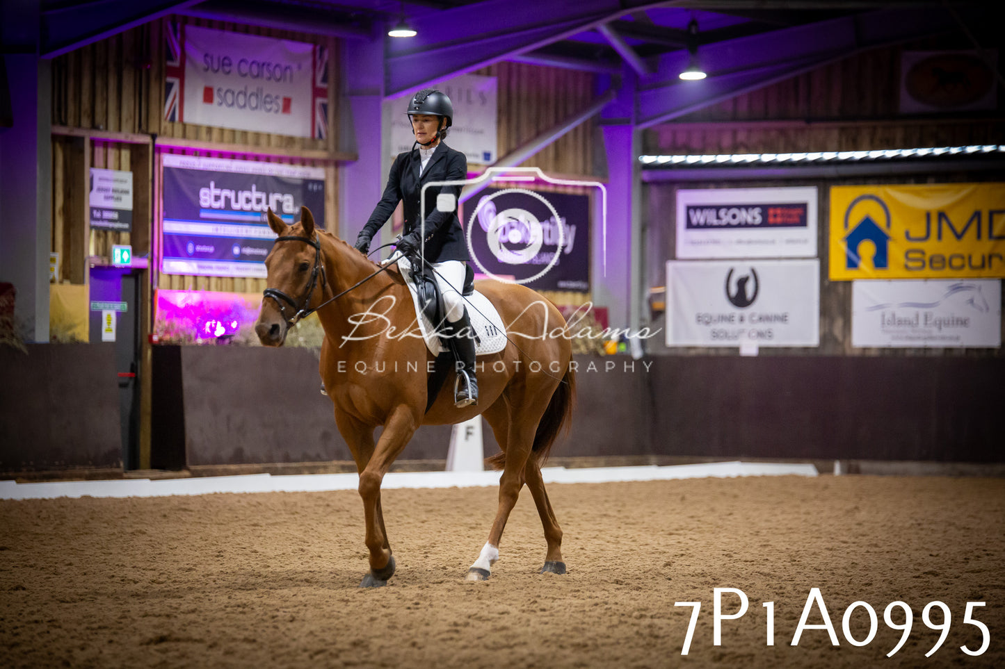 JHOYS 2025 - Dressage - 14th September pt1