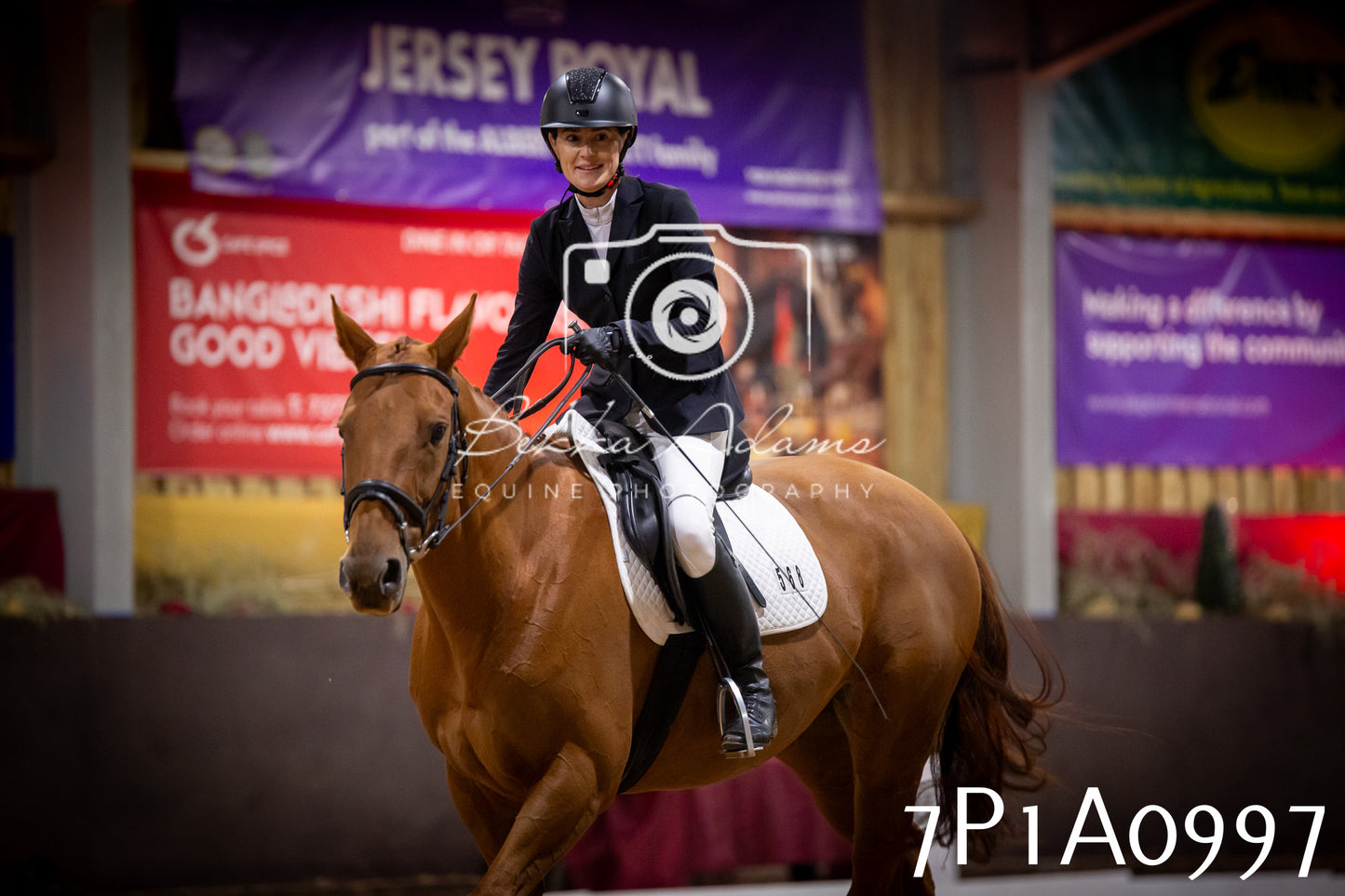 JHOYS 2025 - Dressage - 14th September pt1