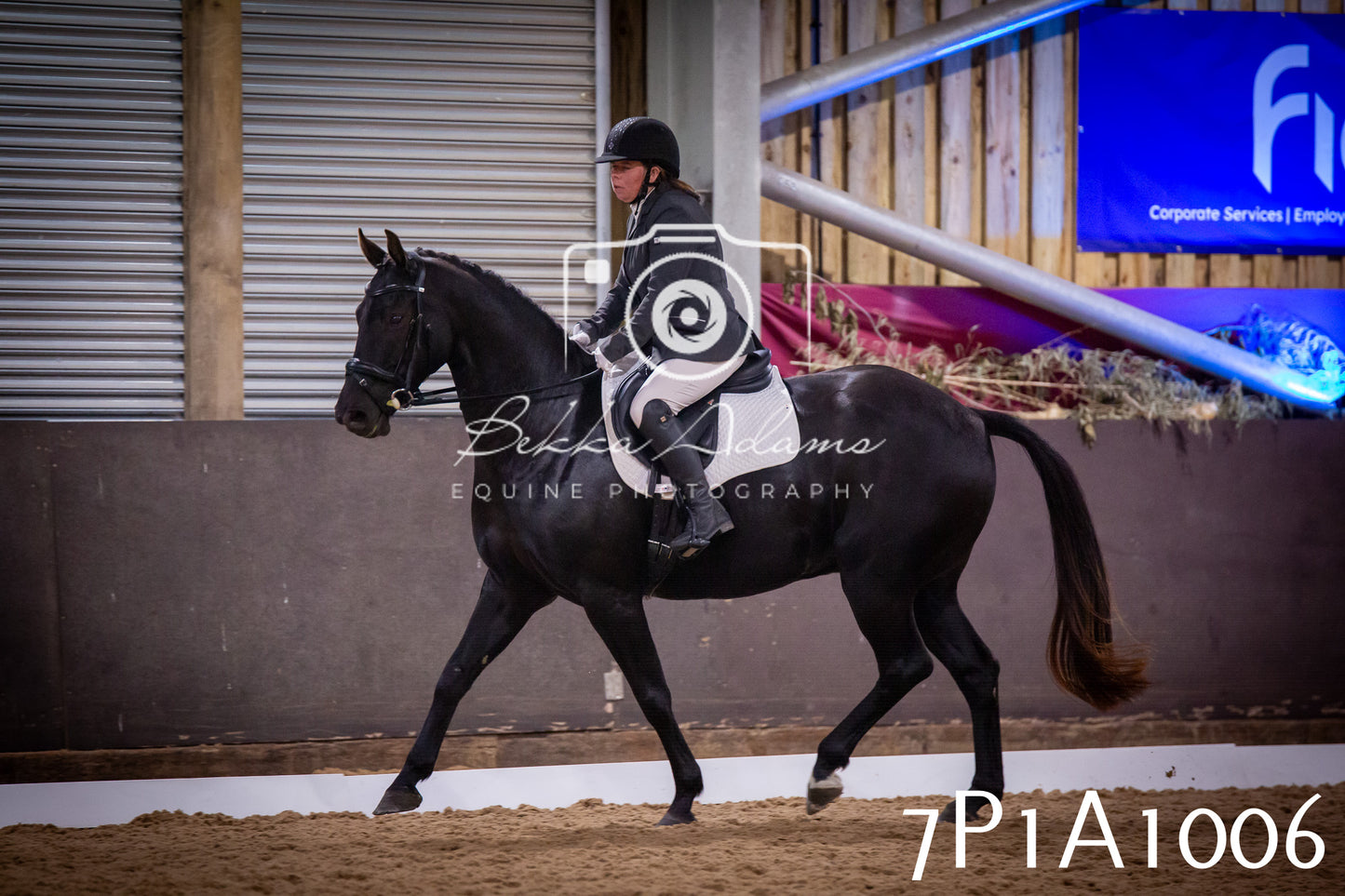 JHOYS 2025 - Dressage - 14th September pt1
