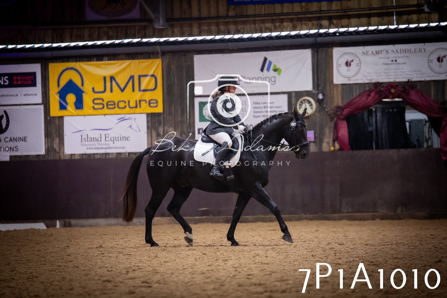 JHOYS 2025 - Dressage - 14th September pt1