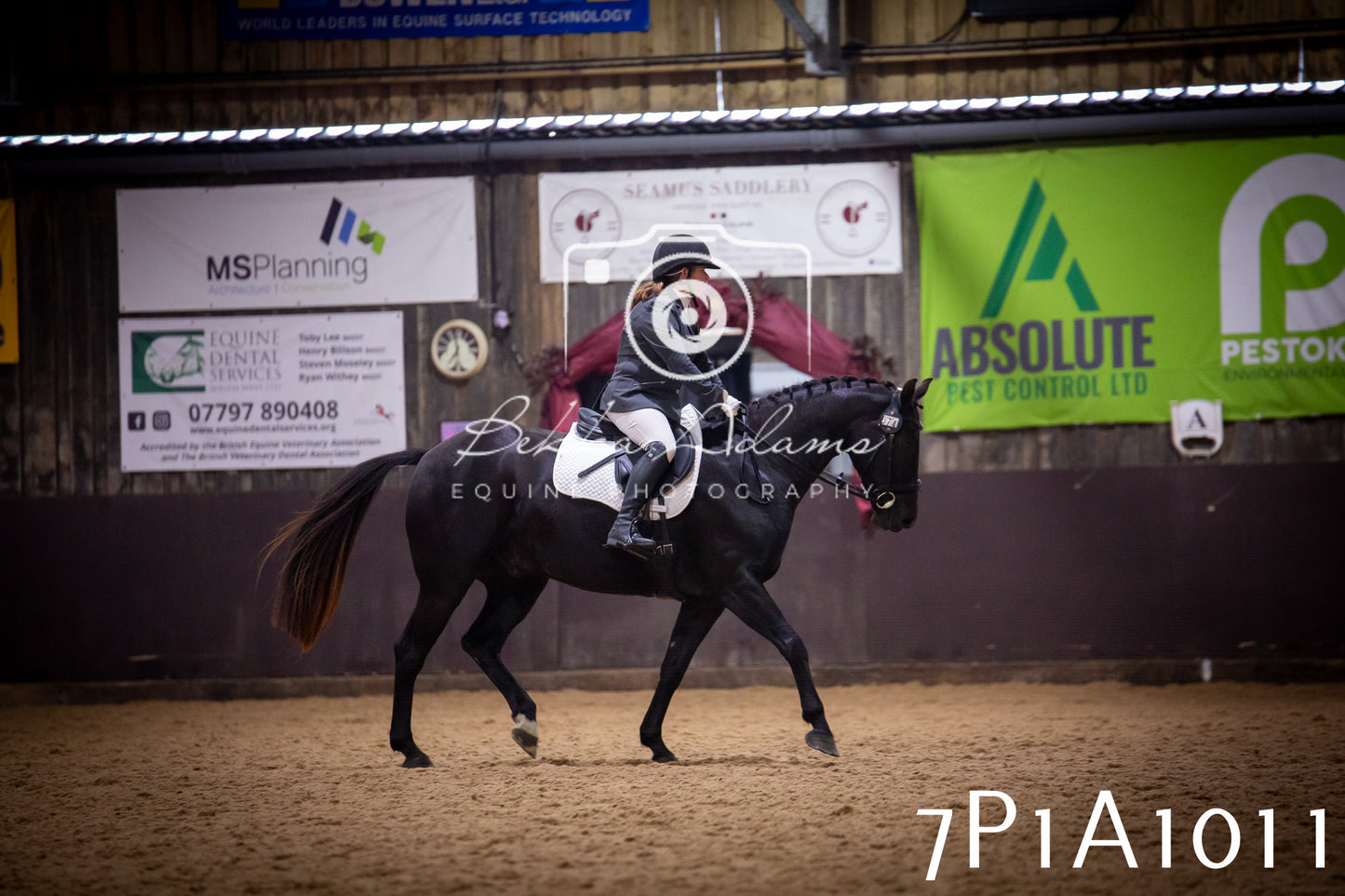 JHOYS 2025 - Dressage - 14th September pt1
