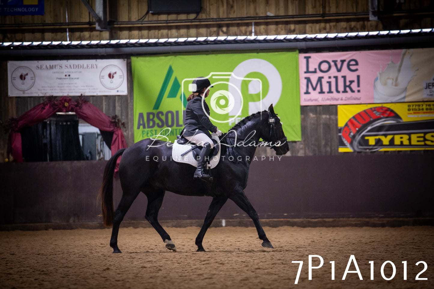 JHOYS 2025 - Dressage - 14th September pt1