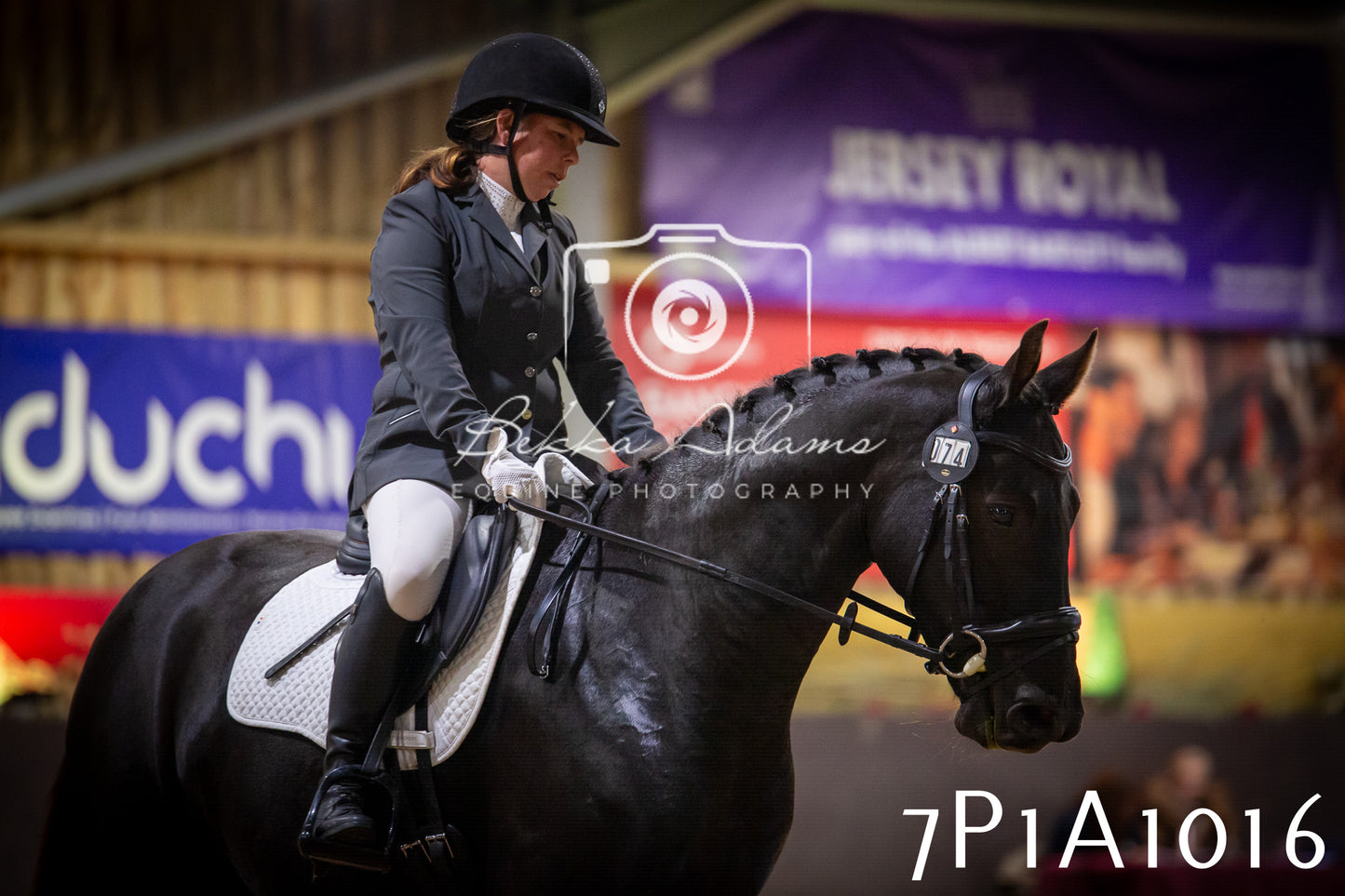 JHOYS 2025 - Dressage - 14th September pt1
