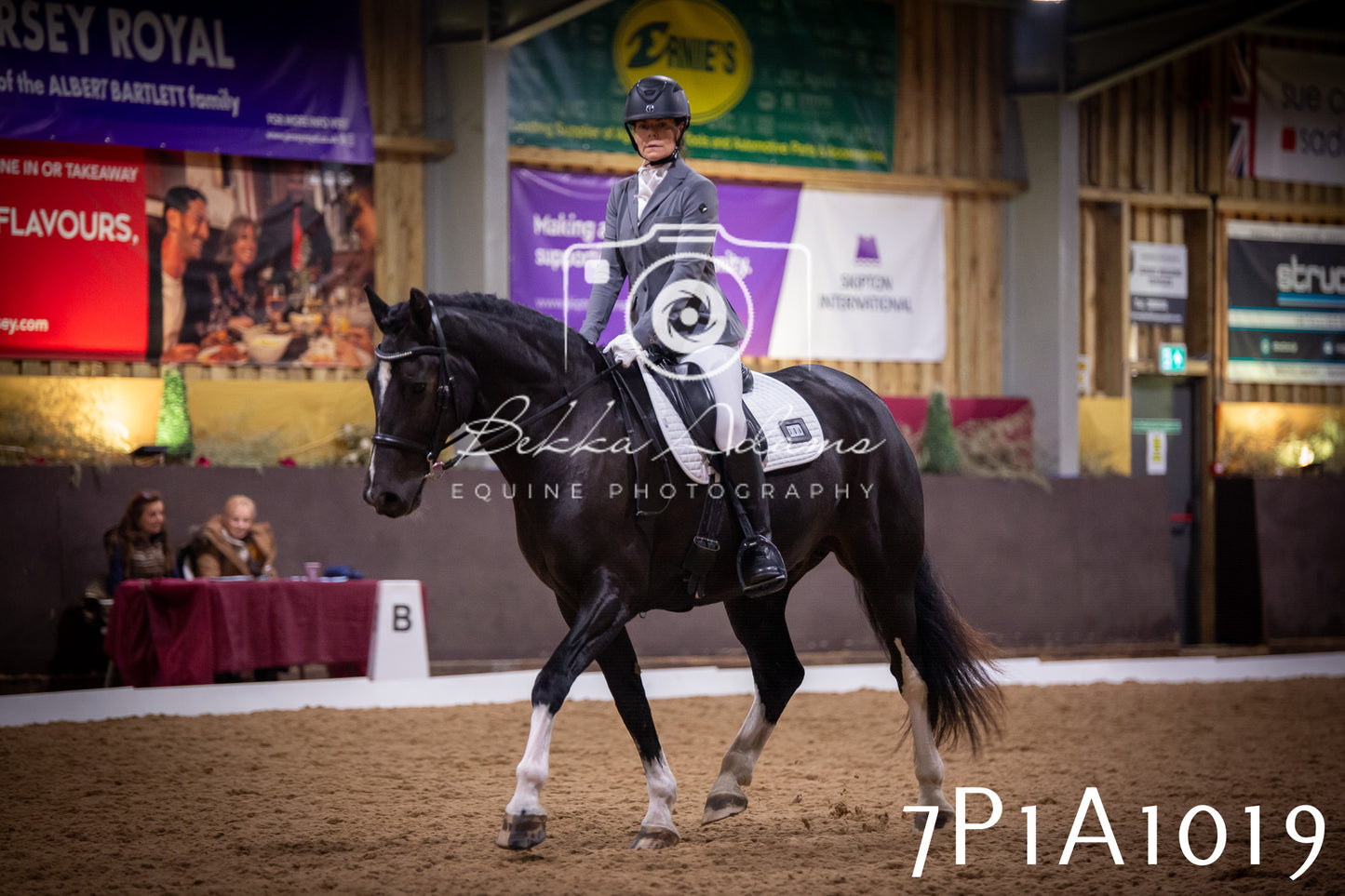 JHOYS 2025 - Dressage - 14th September pt1