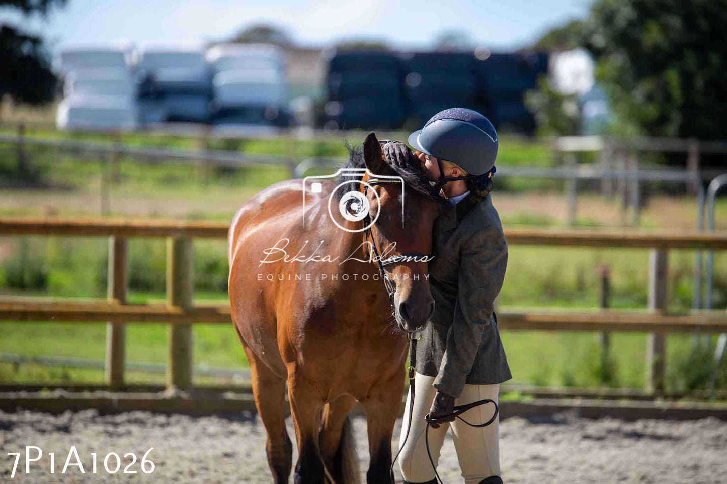 Home Farm Annual Show - Inhand Showing 19th August 2023