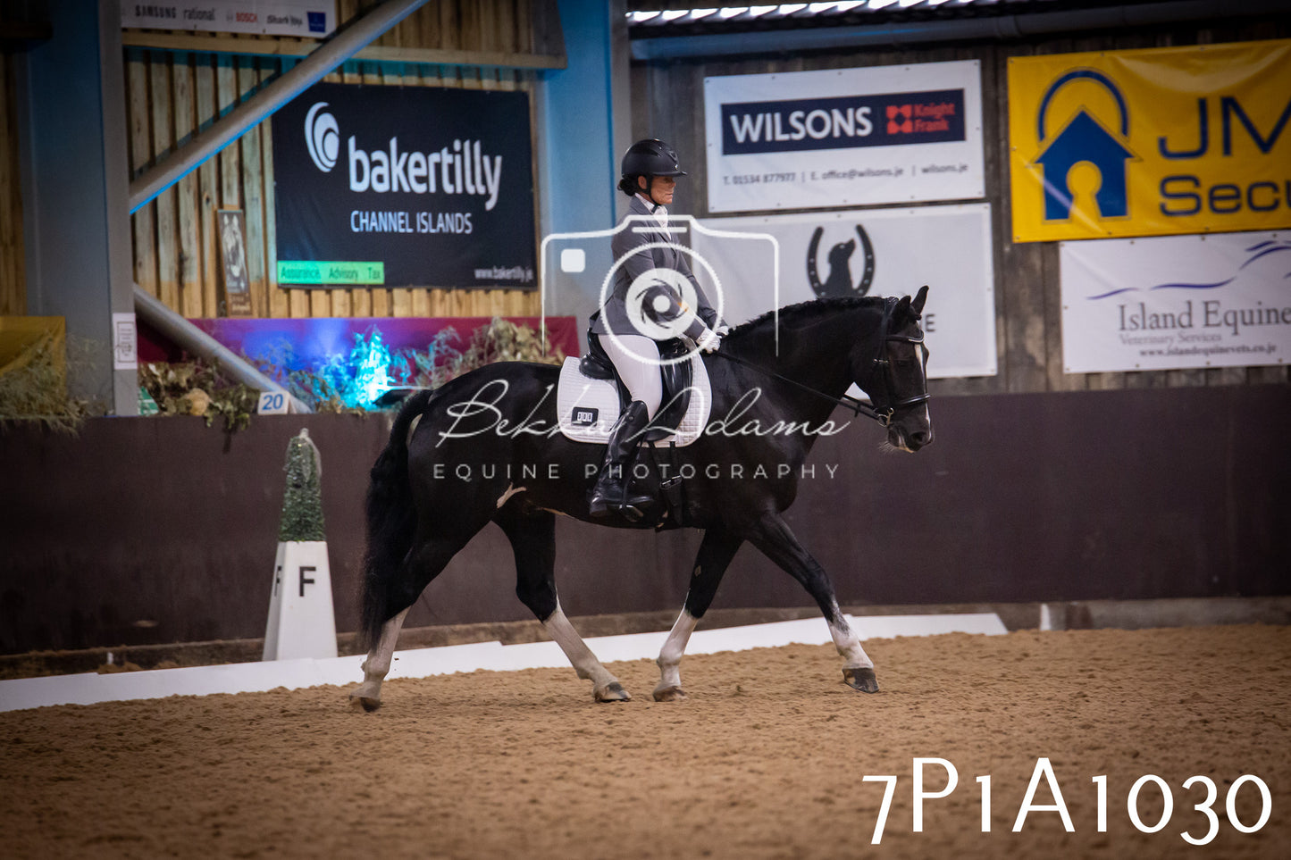 JHOYS 2025 - Dressage - 14th September pt1