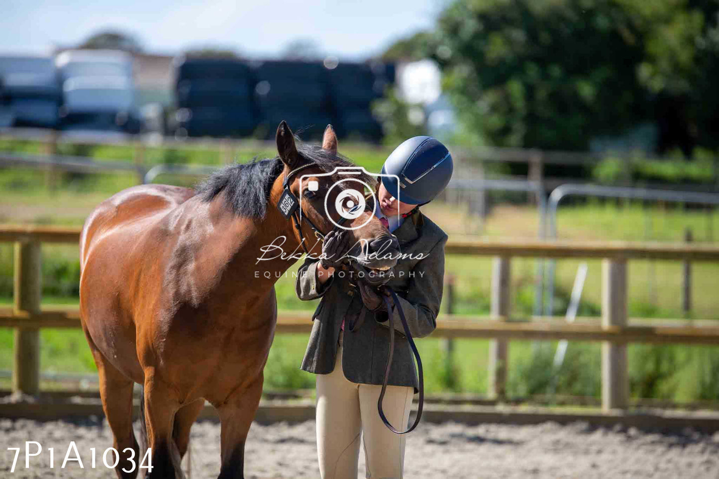 Home Farm Annual Show - Inhand Showing 19th August 2023
