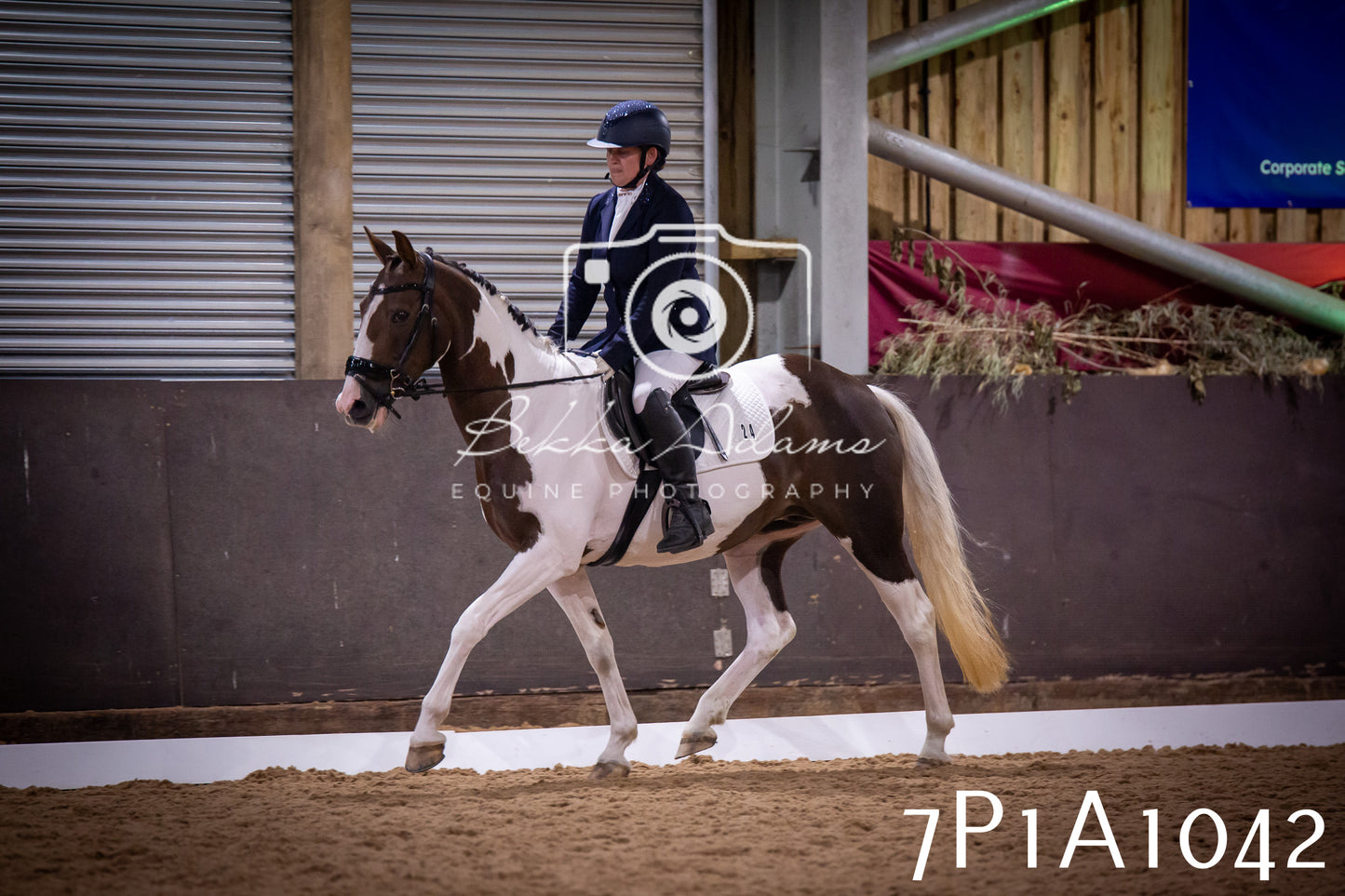 JHOYS 2025 - Dressage - 14th September pt1