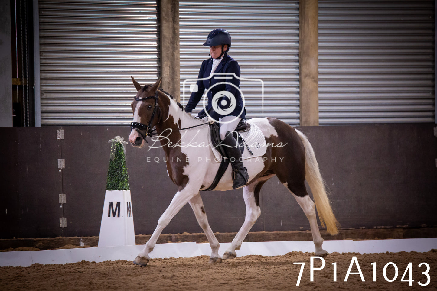 JHOYS 2025 - Dressage - 14th September pt1