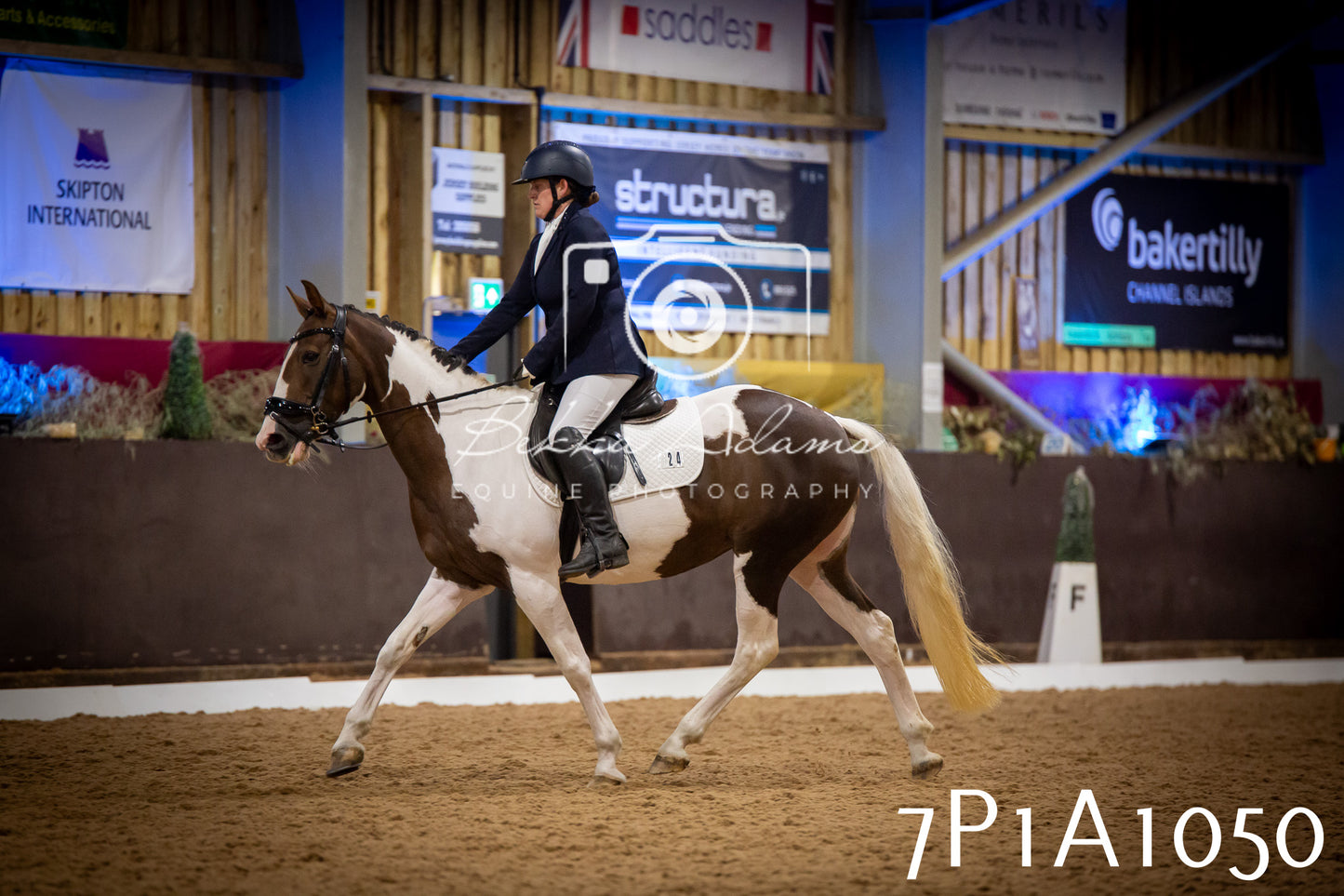 JHOYS 2025 - Dressage - 14th September pt1
