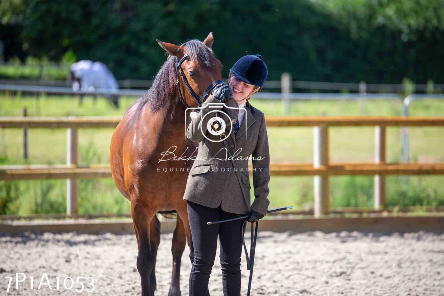Home Farm Annual Show - Inhand Showing 19th August 2023