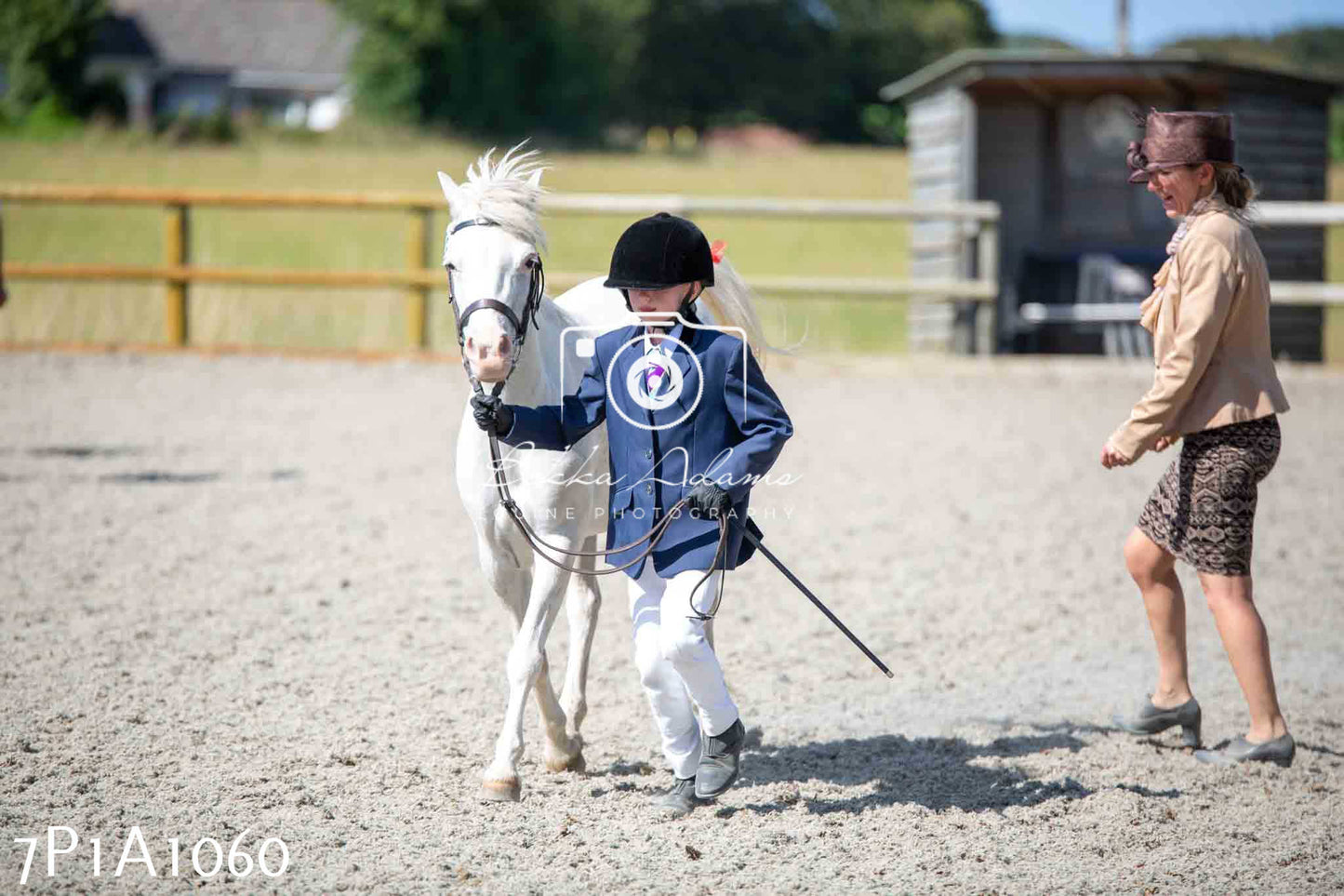 Home Farm Annual Show - Inhand Showing 19th August 2023