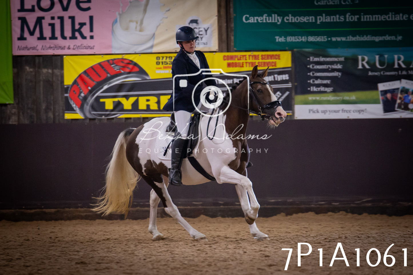 JHOYS 2025 - Dressage - 14th September pt1
