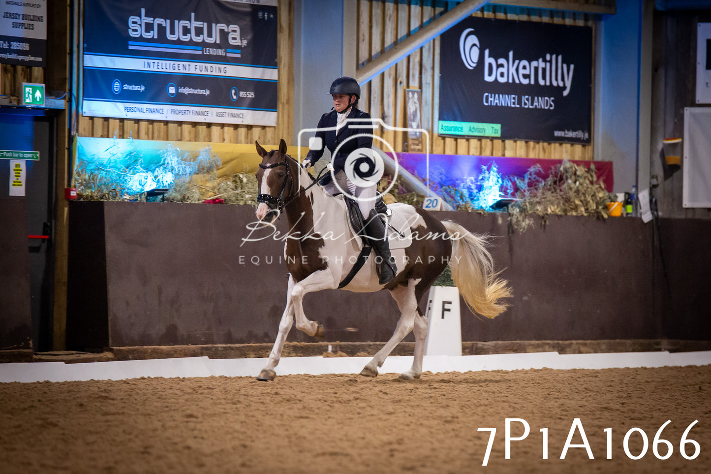 JHOYS 2025 - Dressage - 14th September pt1