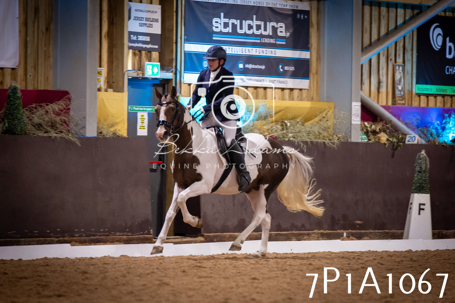 JHOYS 2025 - Dressage - 14th September pt1