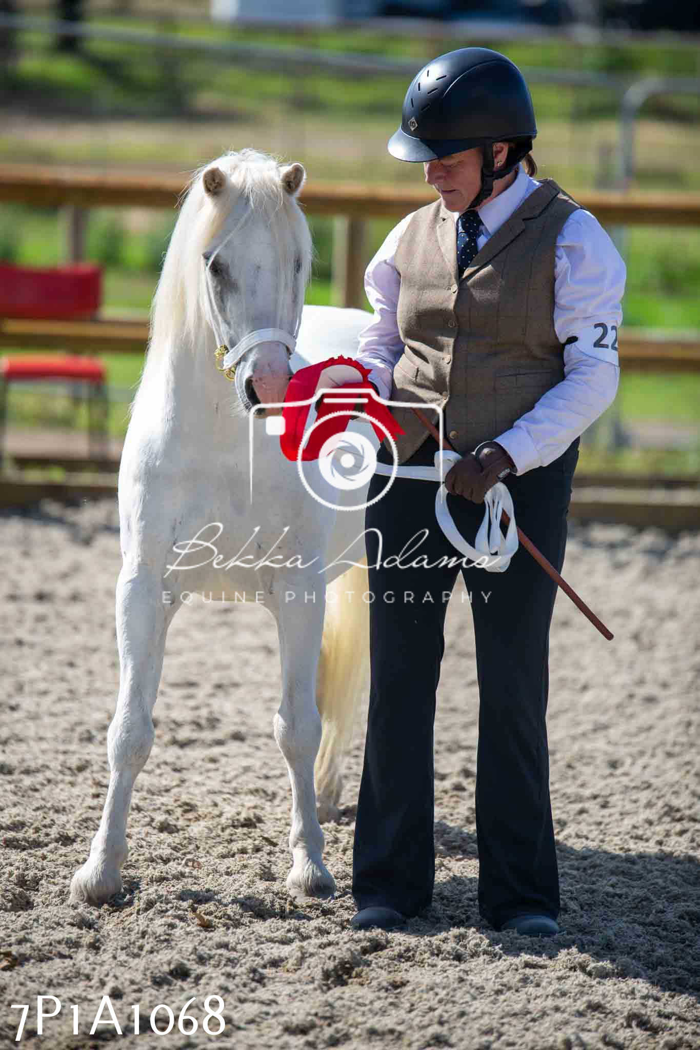 Home Farm Annual Show - Inhand Showing 19th August 2023