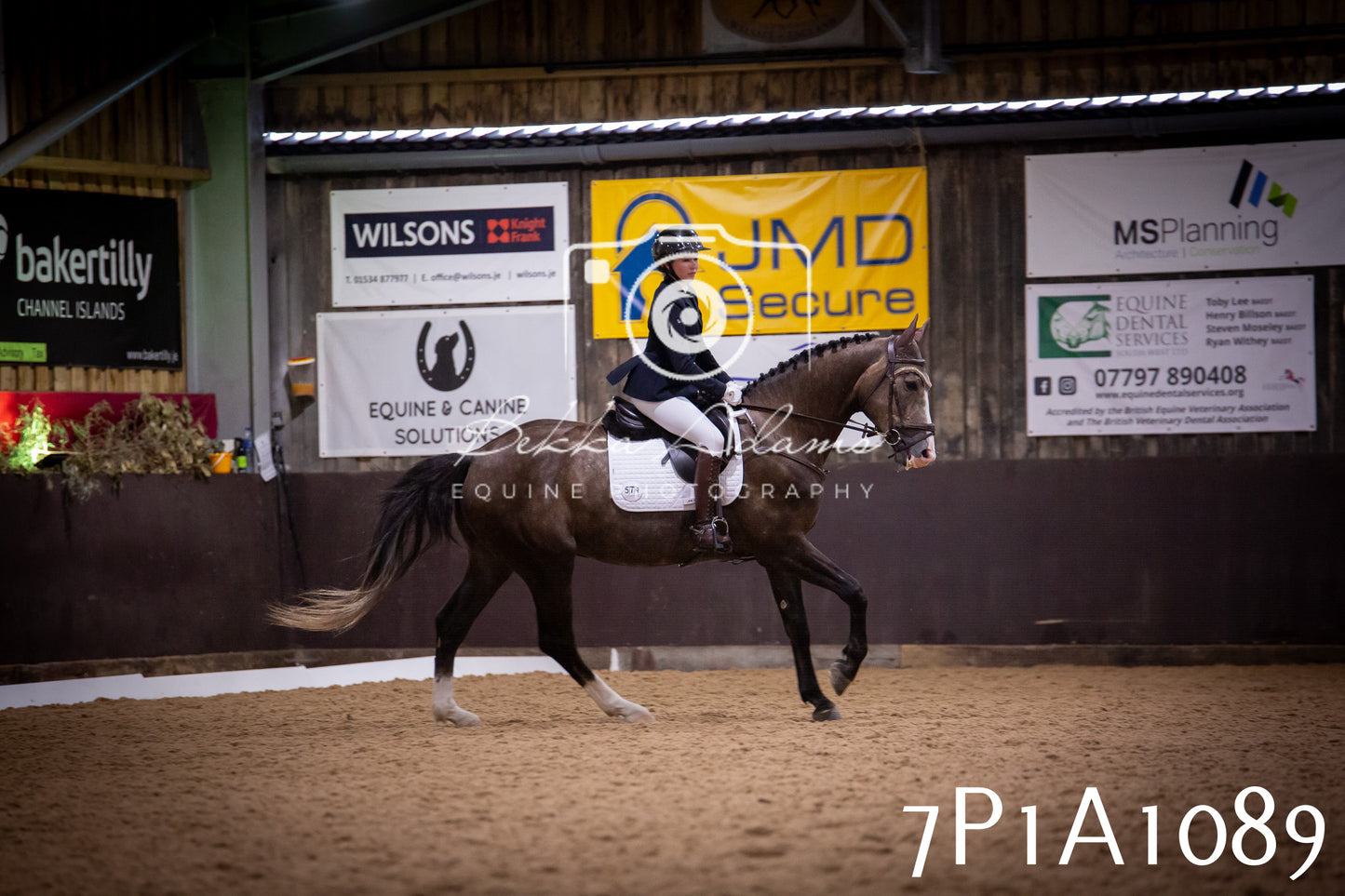 JHOYS 2025 - Dressage - 14th September pt1