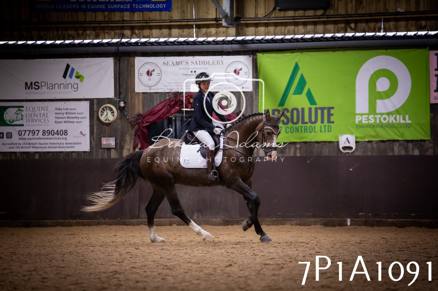 JHOYS 2025 - Dressage - 14th September pt1