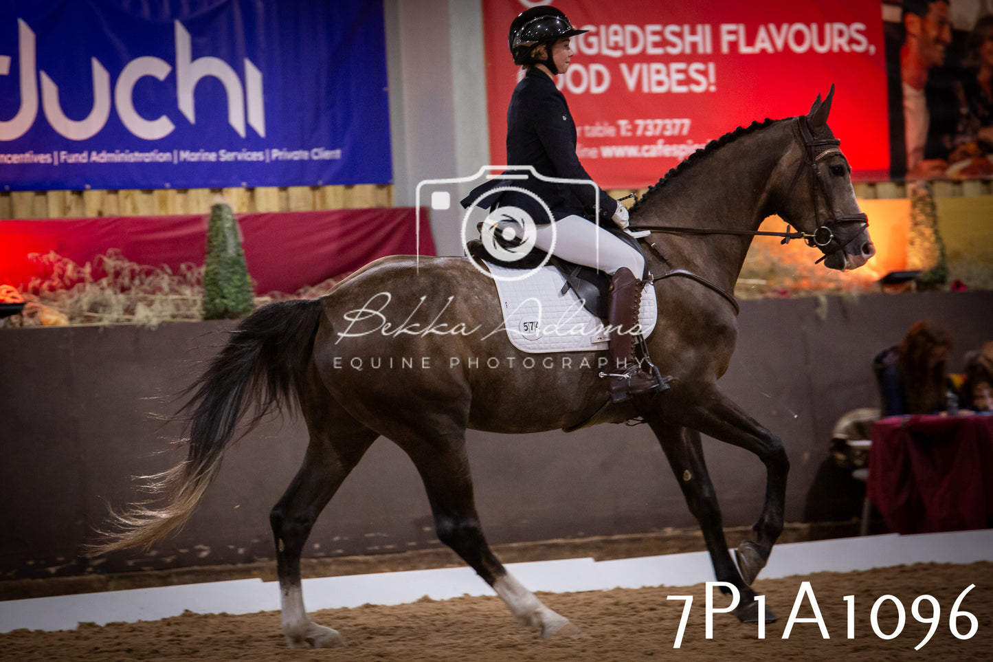 JHOYS 2025 - Dressage - 14th September pt1