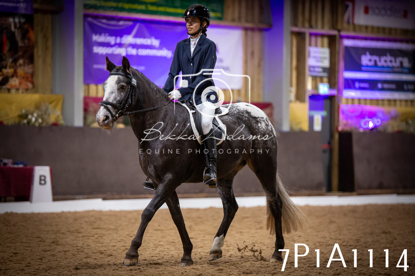 JHOYS 2025 - Dressage - 14th September pt1