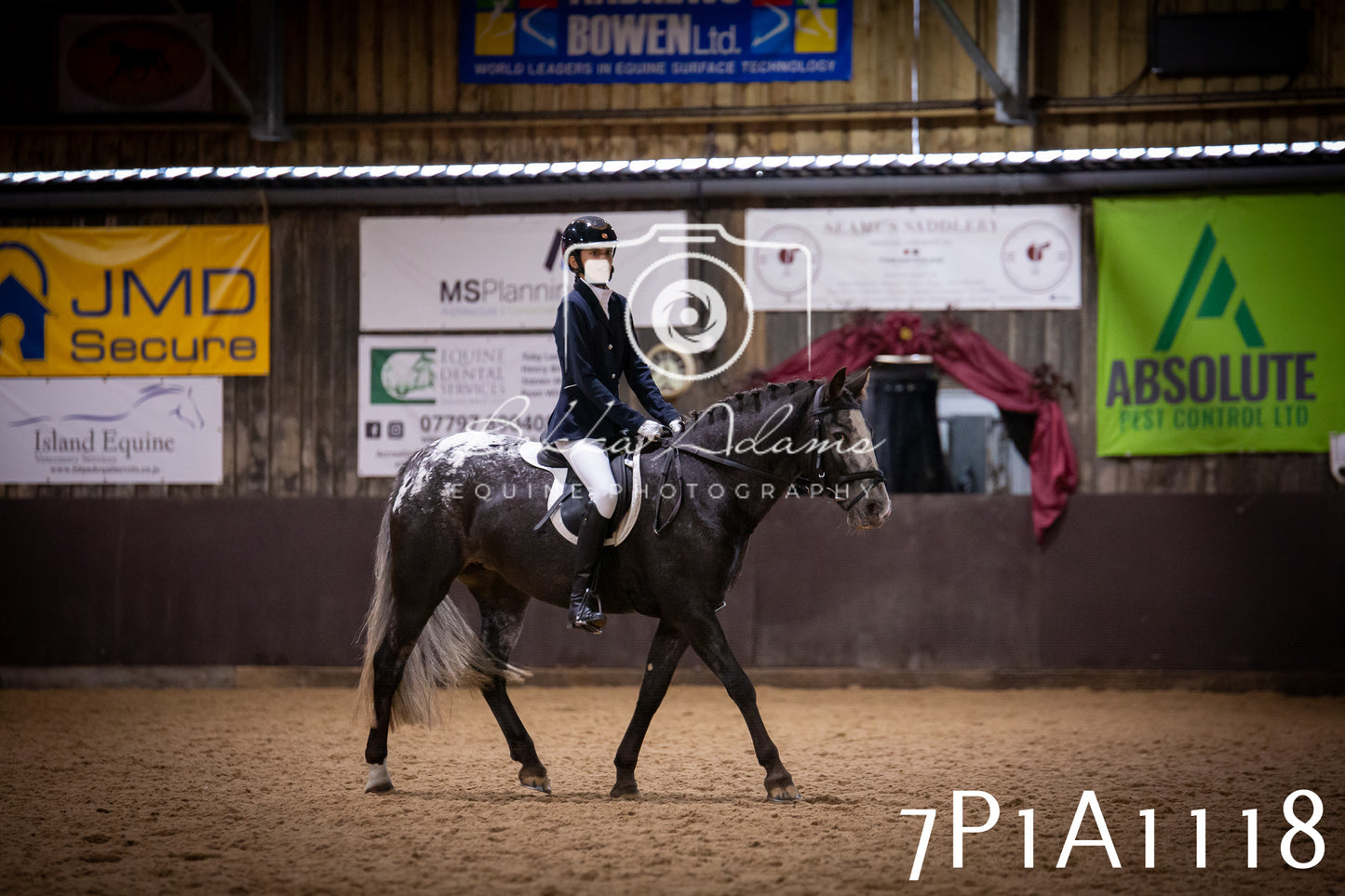 JHOYS 2025 - Dressage - 14th September pt1