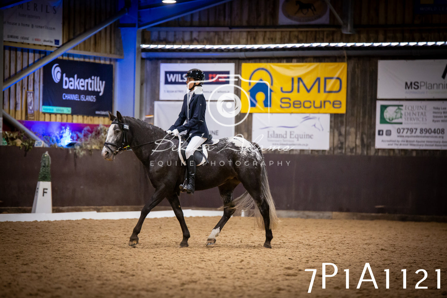 JHOYS 2025 - Dressage - 14th September pt1