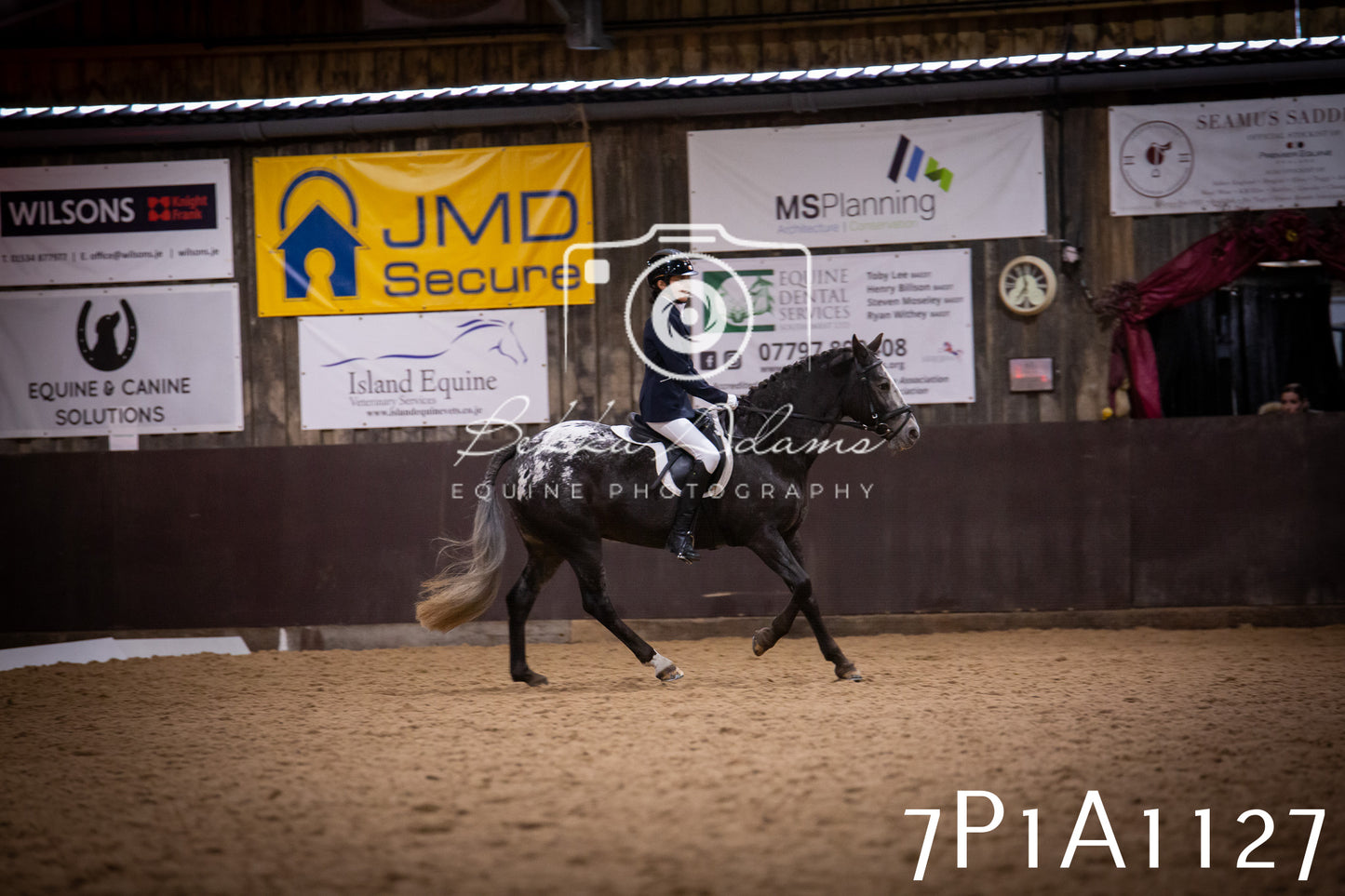 JHOYS 2025 - Dressage - 14th September pt1
