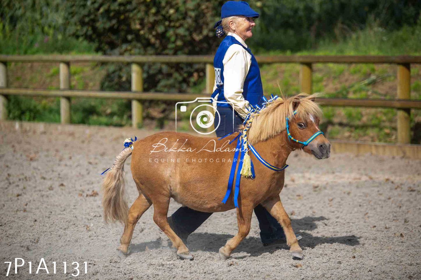 Home Farm Annual Show - Inhand Showing 19th August 2023