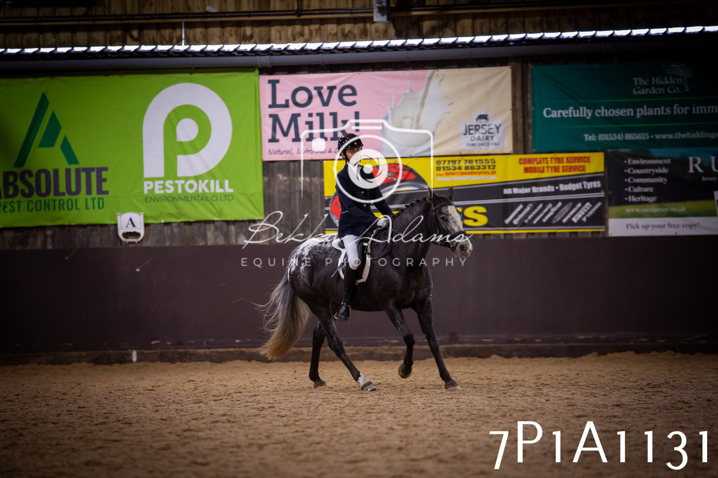 JHOYS 2025 - Dressage - 14th September pt1