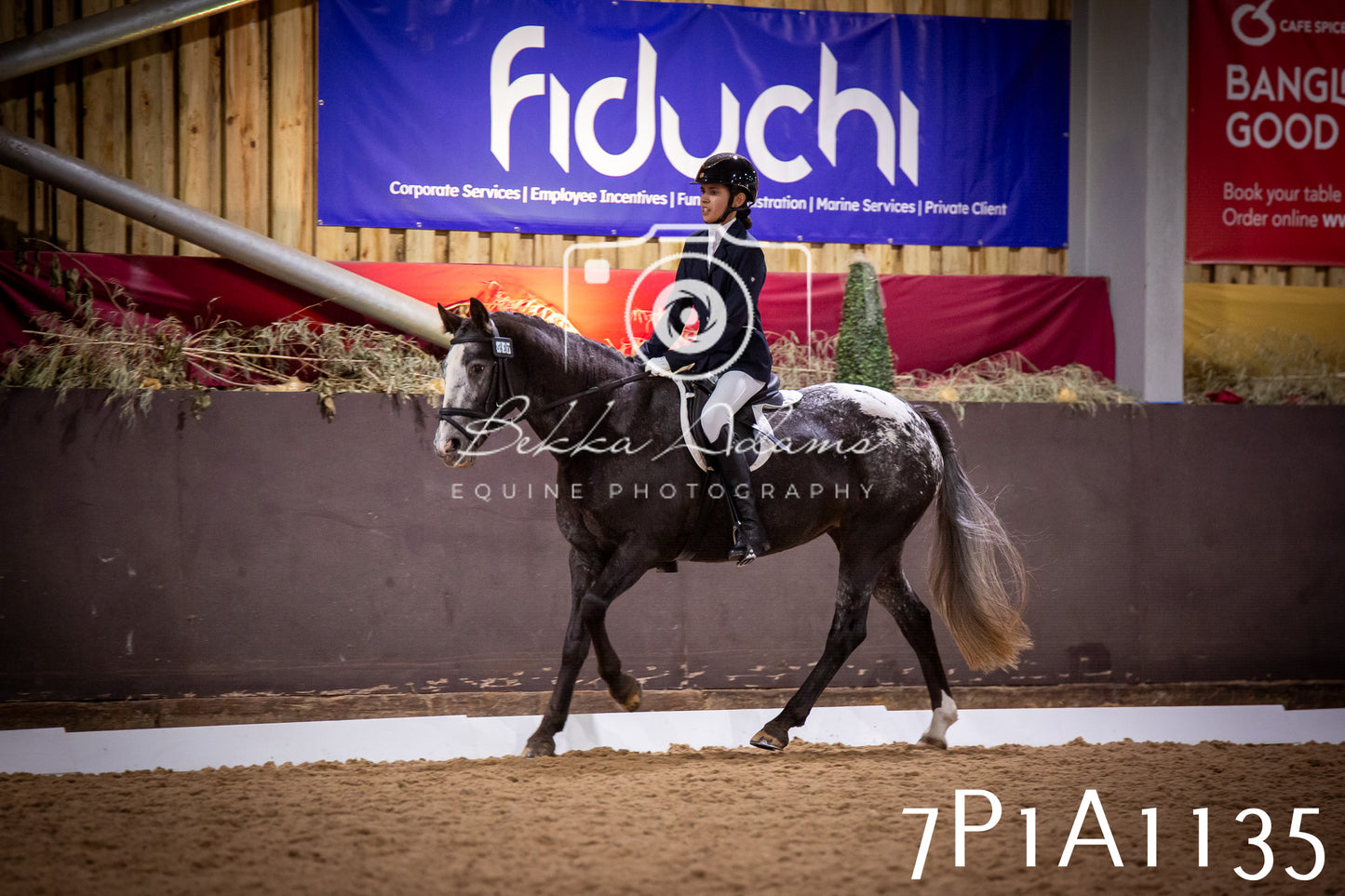 JHOYS 2025 - Dressage - 14th September pt1