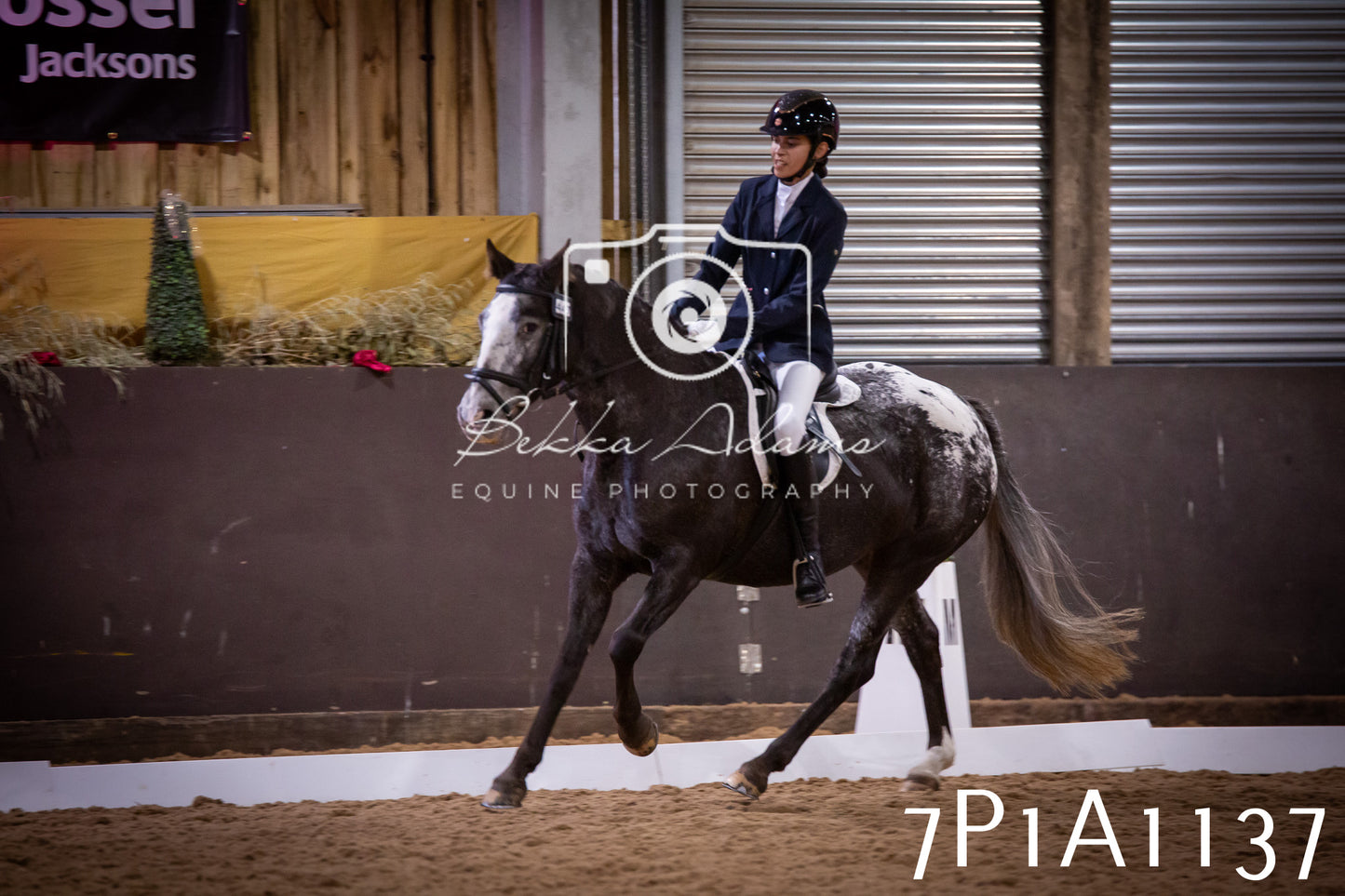 JHOYS 2025 - Dressage - 14th September pt1