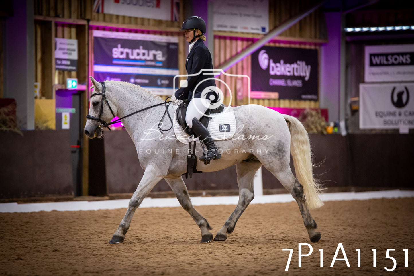 JHOYS 2025 - Dressage - 14th September pt1