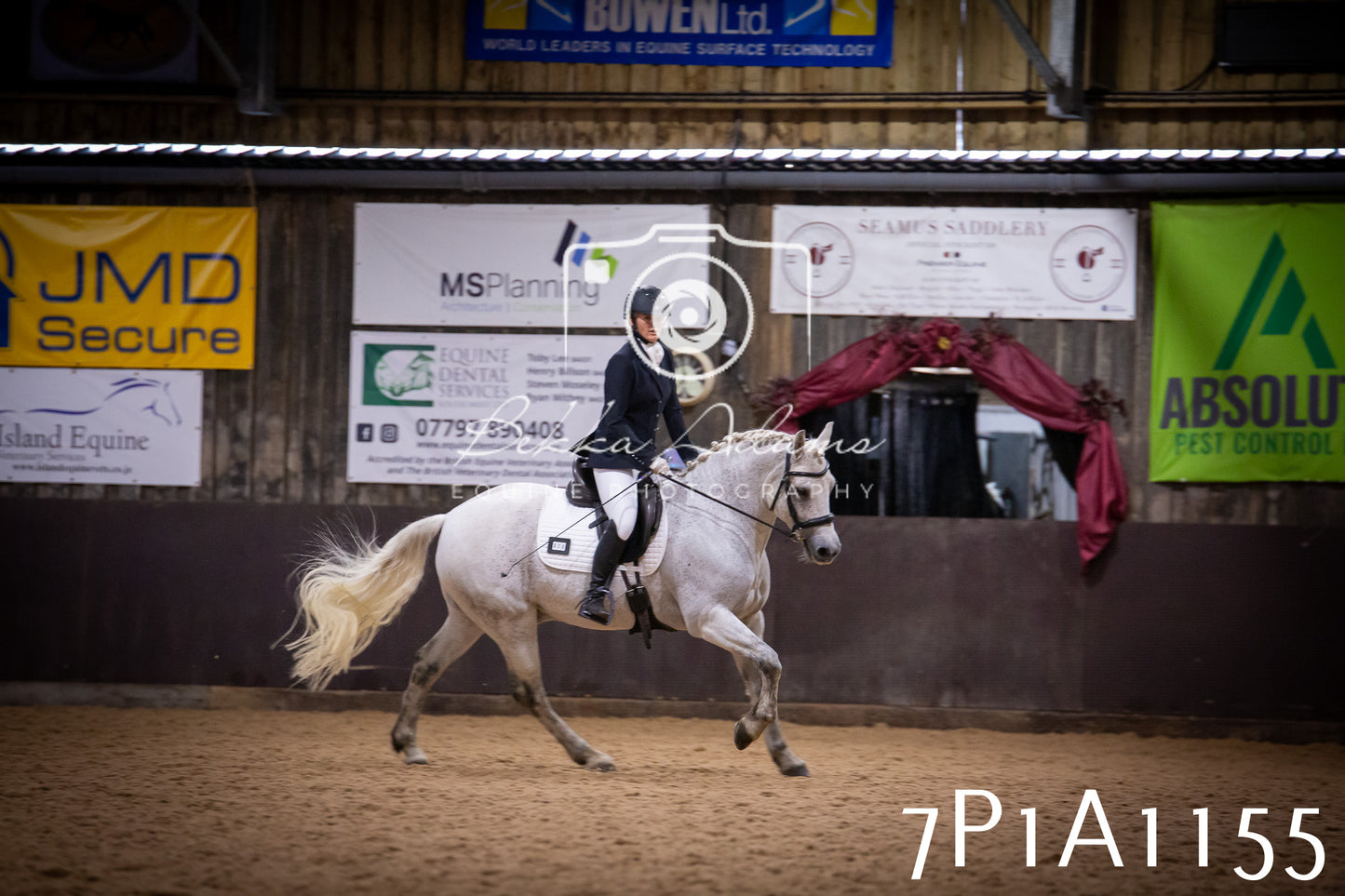 JHOYS 2025 - Dressage - 14th September pt1