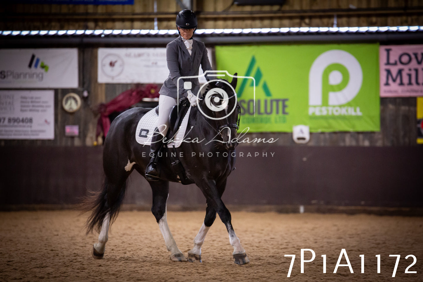 JHOYS 2025 - Dressage - 14th September pt1