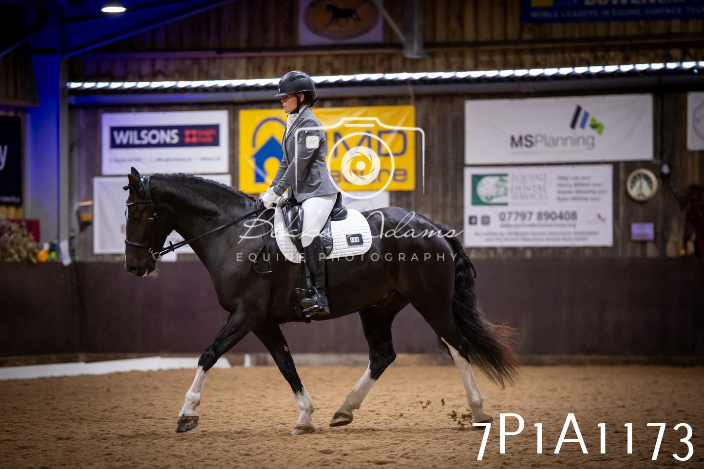JHOYS 2025 - Dressage - 14th September pt1