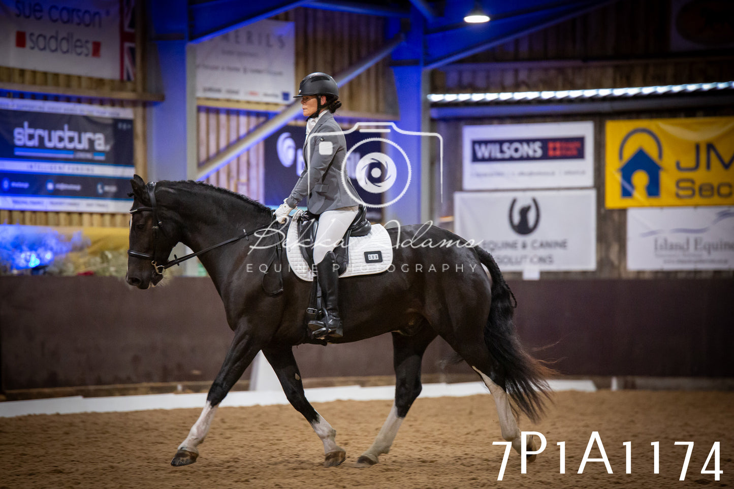 JHOYS 2025 - Dressage - 14th September pt1
