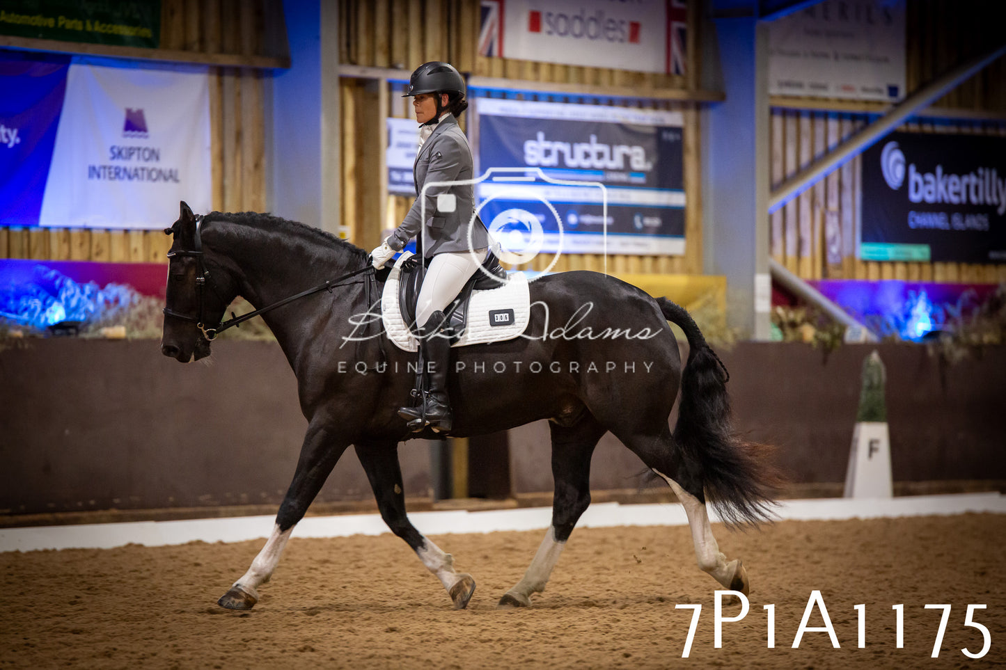 JHOYS 2025 - Dressage - 14th September pt1