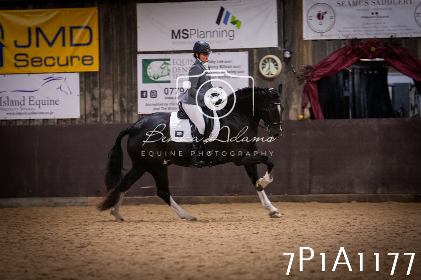 JHOYS 2025 - Dressage - 14th September pt1