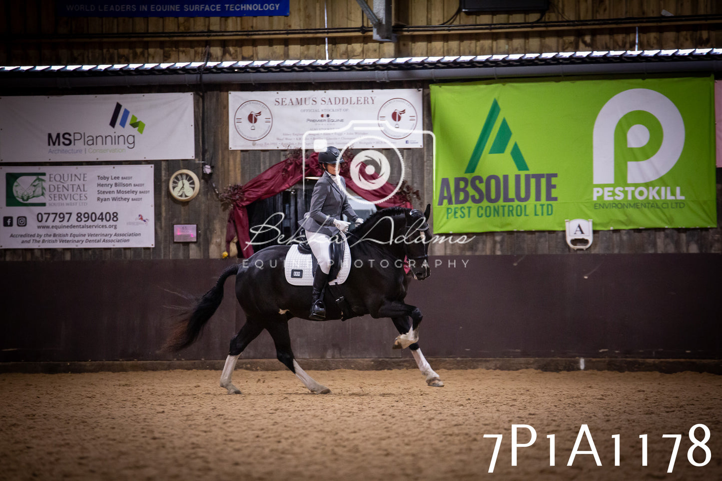 JHOYS 2025 - Dressage - 14th September pt1