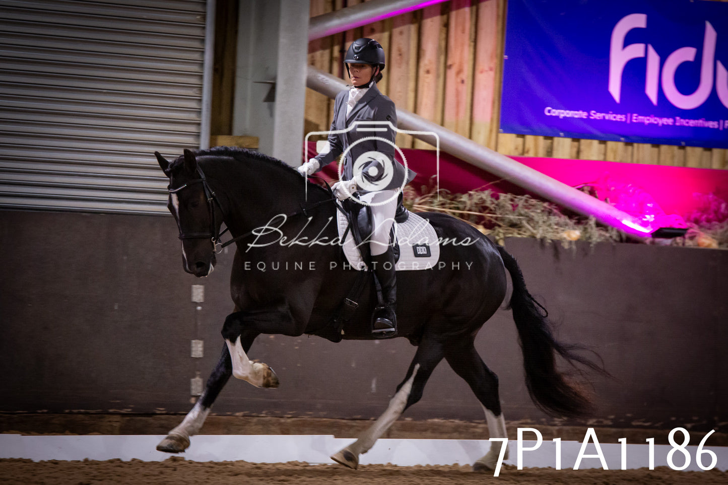 JHOYS 2025 - Dressage - 14th September pt1